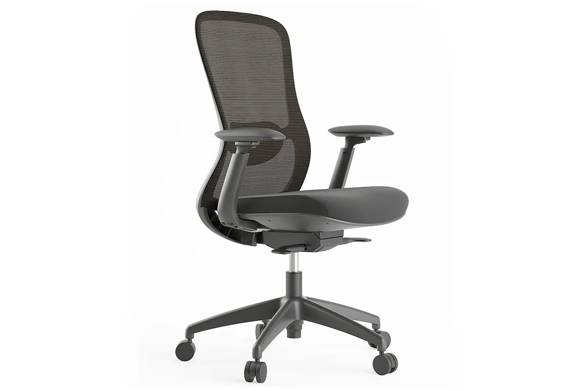 Falcon Ergonomic Mesh Chair