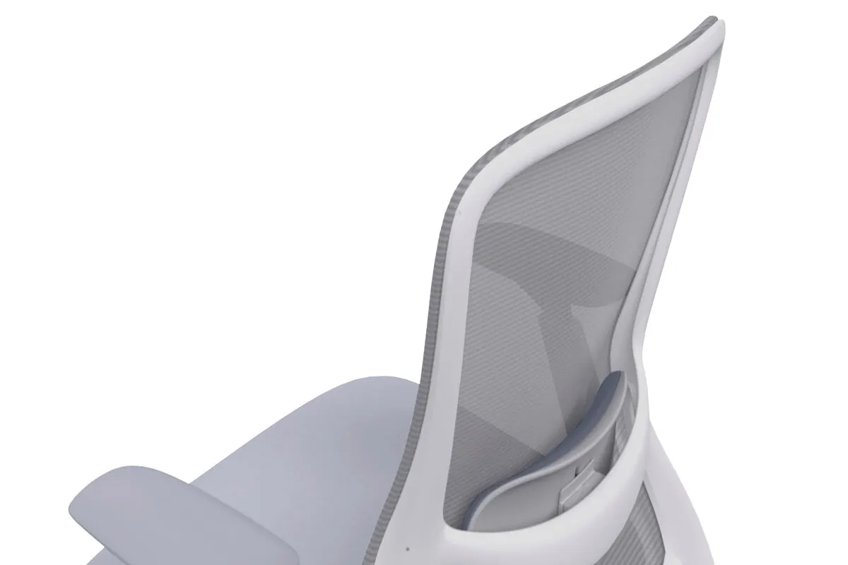 Falcon Ergonomic Mesh Chair