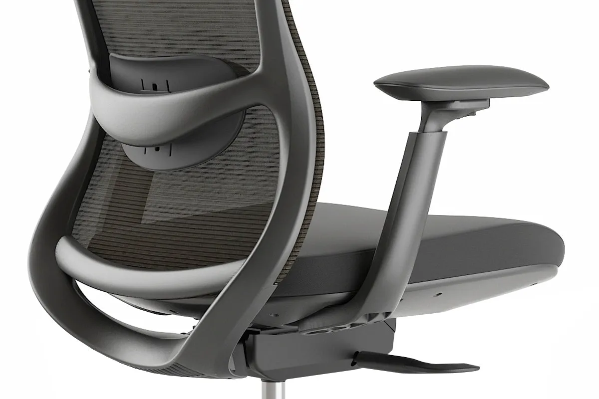 Falcon Ergonomic Mesh Chair