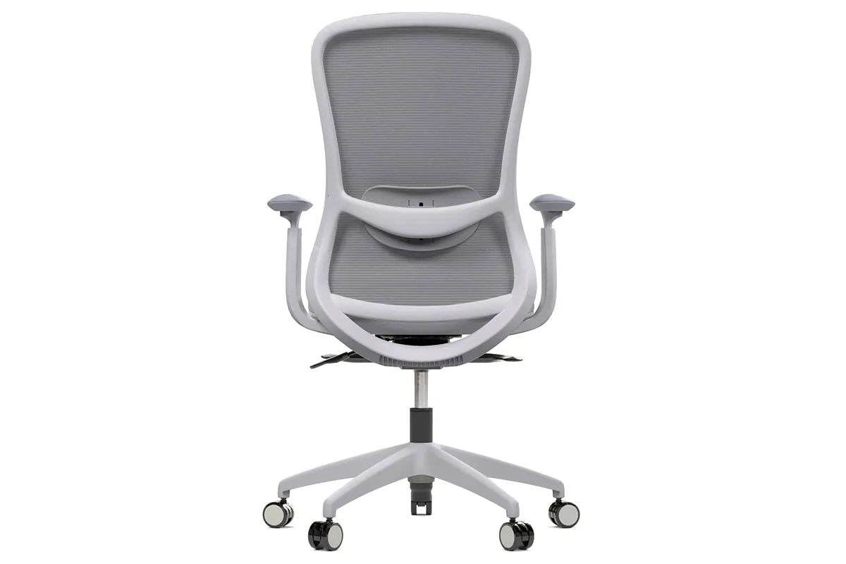 Falcon Ergonomic Mesh Chair