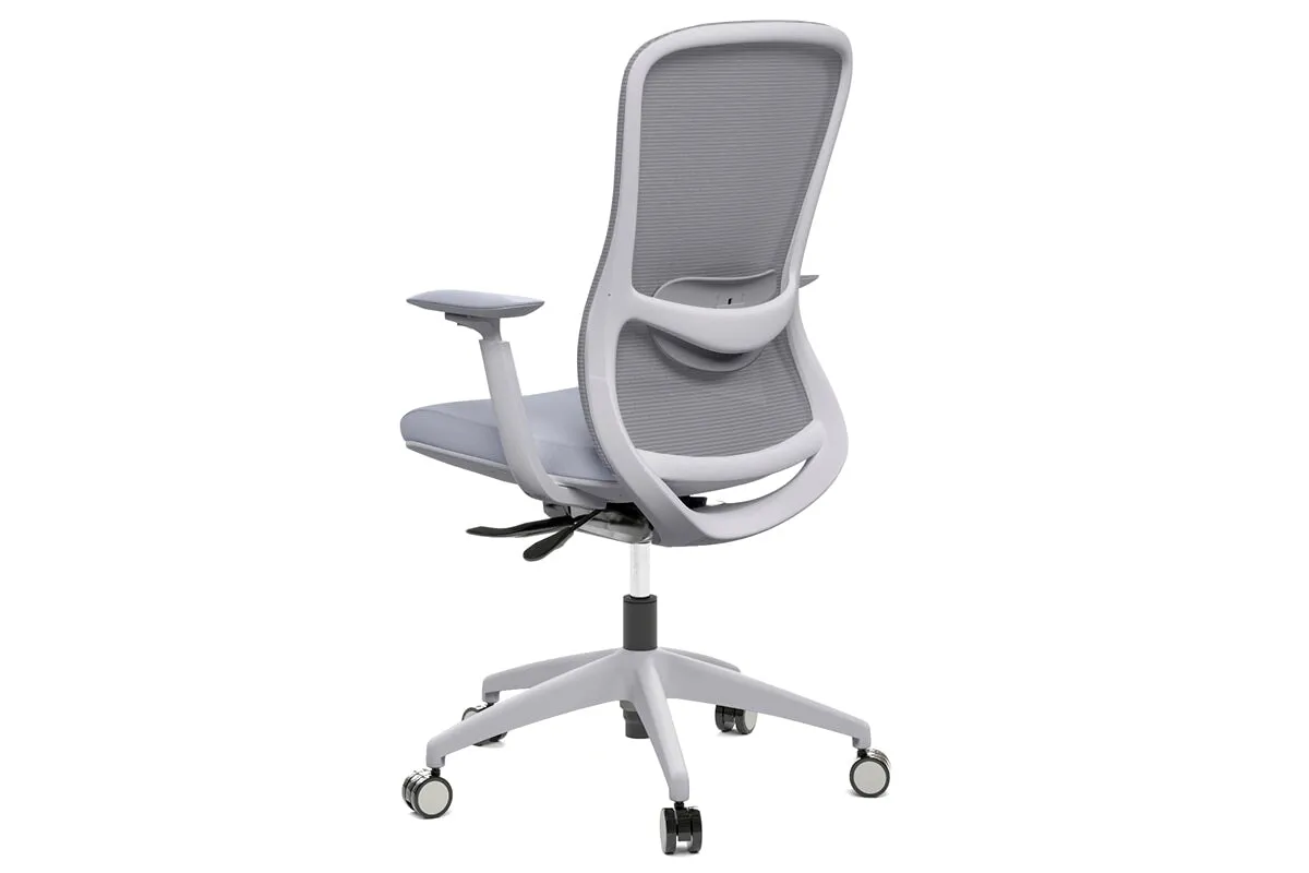 Falcon Ergonomic Mesh Chair