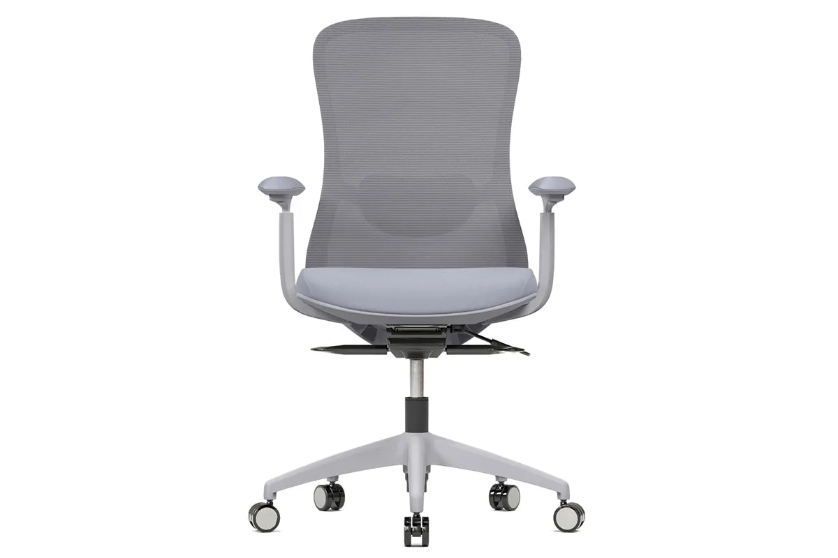 Falcon Ergonomic Mesh Chair