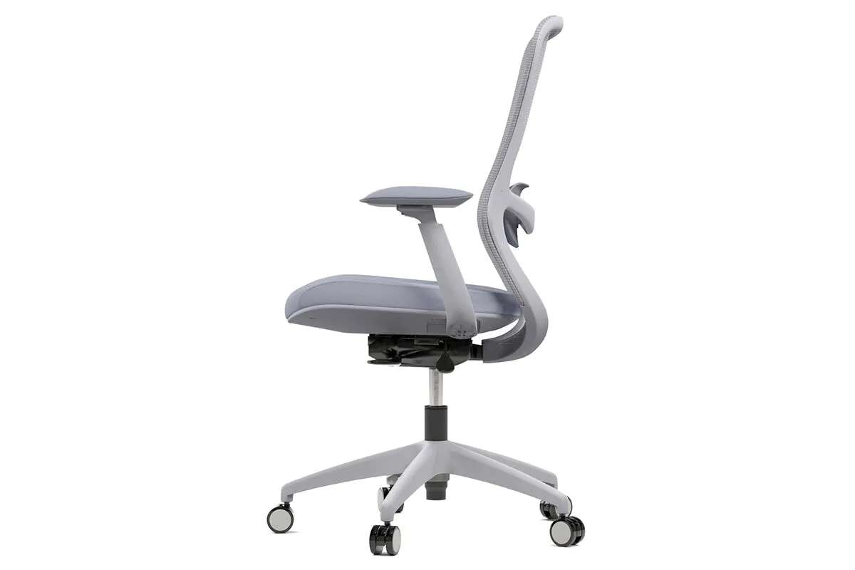 Falcon Ergonomic Mesh Chair