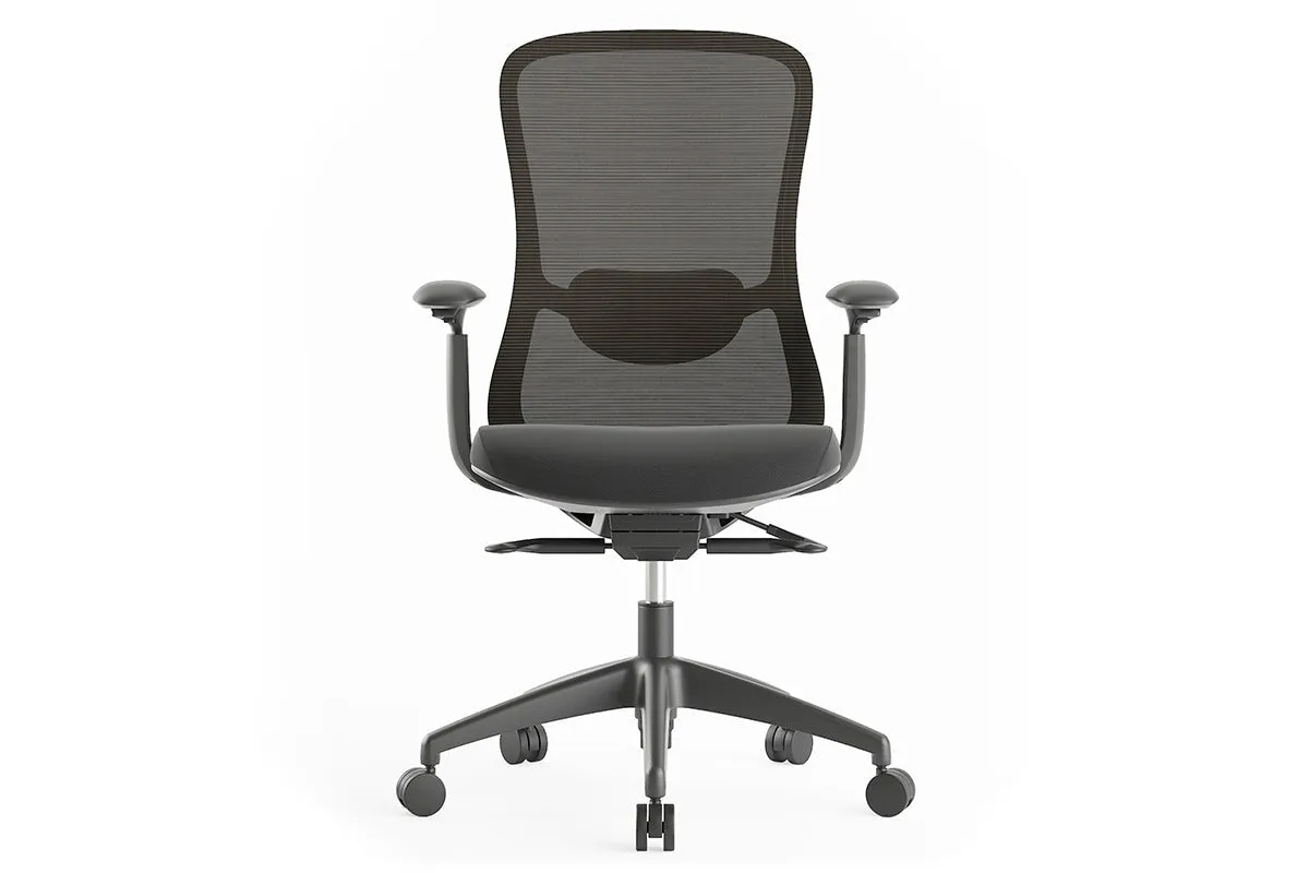 Falcon Ergonomic Mesh Chair