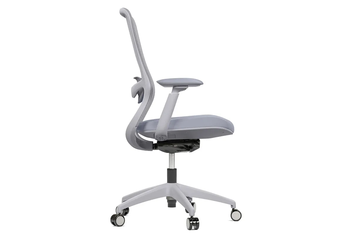 Falcon Ergonomic Mesh Chair