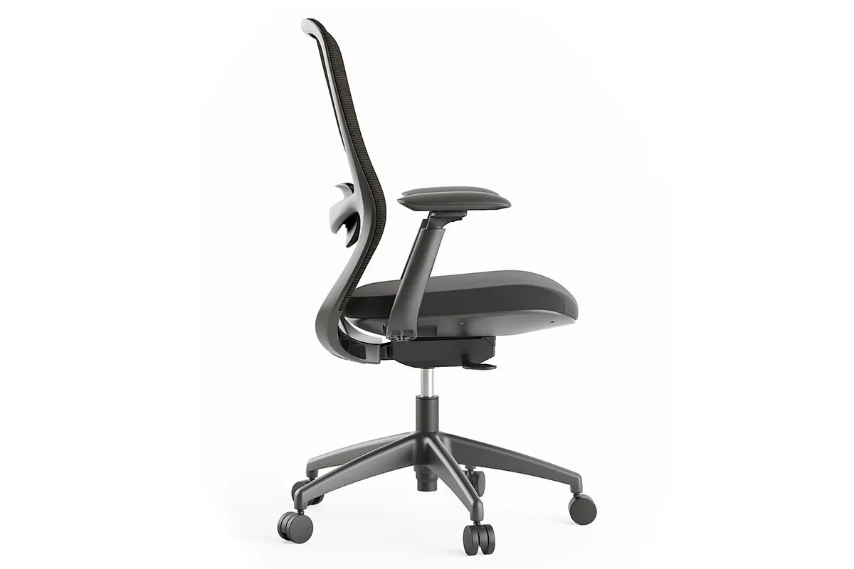 Falcon Ergonomic Mesh Chair