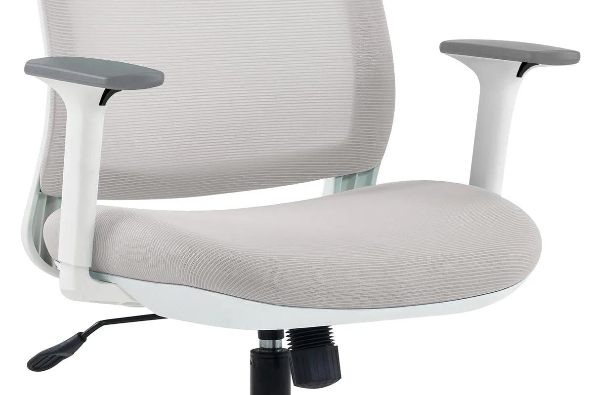 Finch Ergonomic Mesh Chair