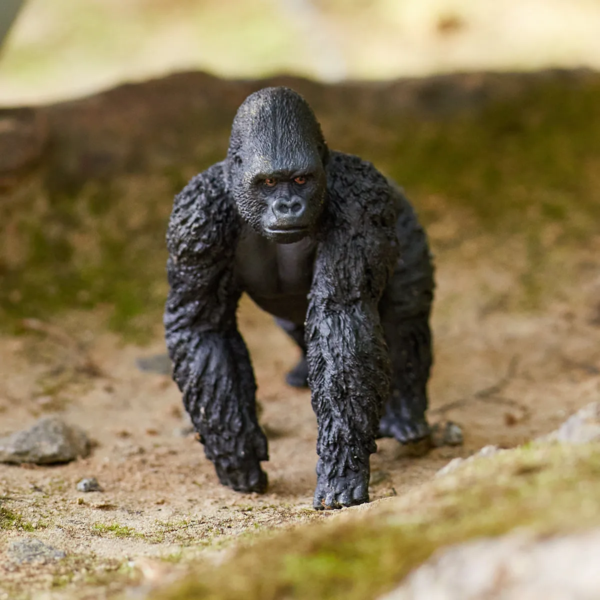 Gorilla, male