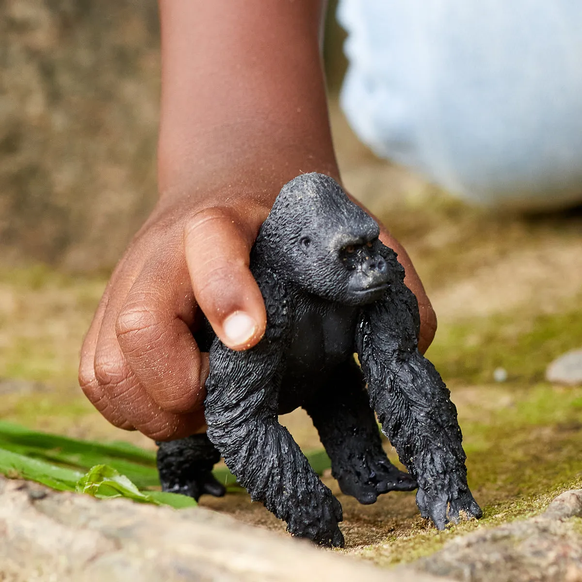 Gorilla, male