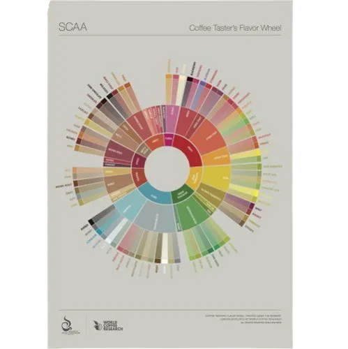 Lexicon Flavour Wheel - SCAA