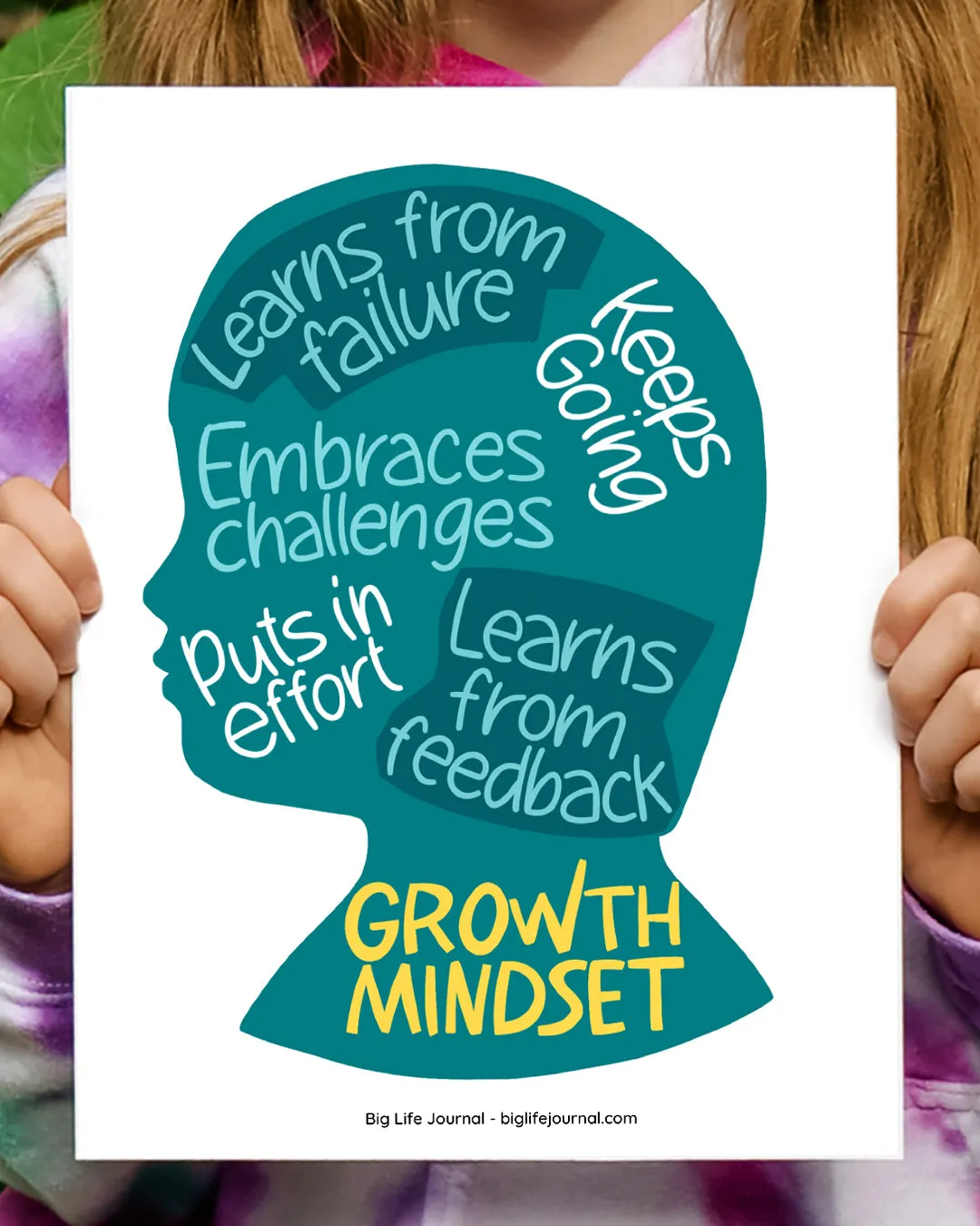 Mindset Posters PDF