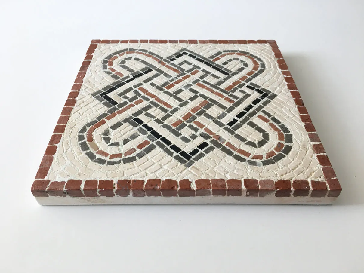 Solomon's Knot Mosaic