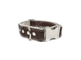 Studded Cork Dog Collar Saddle Brown